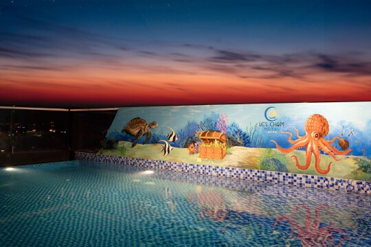 Rooftop Pool & Bar